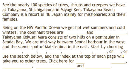 See the nearly 100 species of trees, shrubs and creepers we have at Takayama, Shichigahama in Miyagi Ken. Takayama Beach Company is a resort in NE Japan mainly for missionaries and their families.Being on the NW Pacific Ocean we get hot wet summers and cold winters. The dominant trees are black pines and cherries (sakura). Takayama Kokusai Mura consists of two hills on a peninsular in Sendai Bay. We are mid-way between Sendai harbour in the west and the scenic spot of Matsushima in the east. Start by choosing black pine, cherry, oak, willow, mulberry, holly, maple, or ash, or use the search below, and the index at the top of each page will take you to other trees. Click here for notes, links and downloads, Takayama birds,  Takayama butterflies and other wildlife.